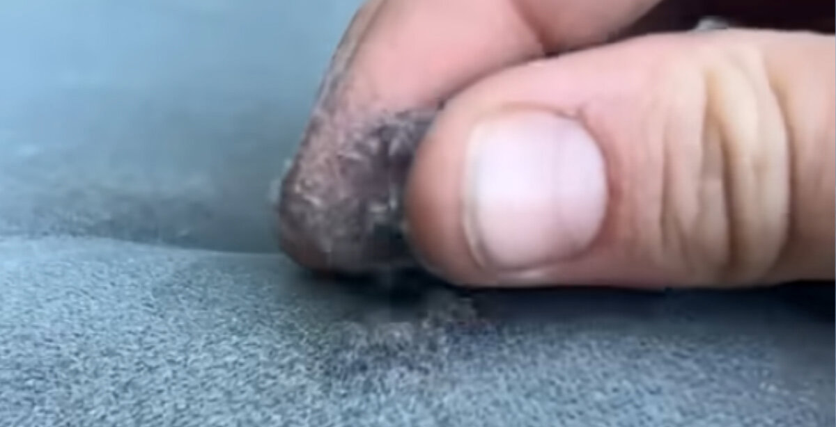 الیاف هم‌رنگ را روی چسب مرطوب بریزید